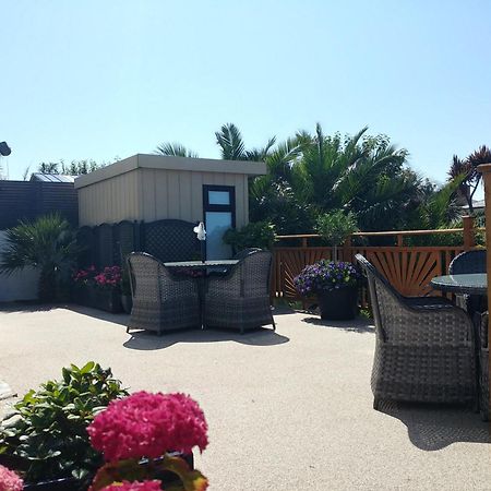 Meadow View Apartments New Quay Εξωτερικό φωτογραφία